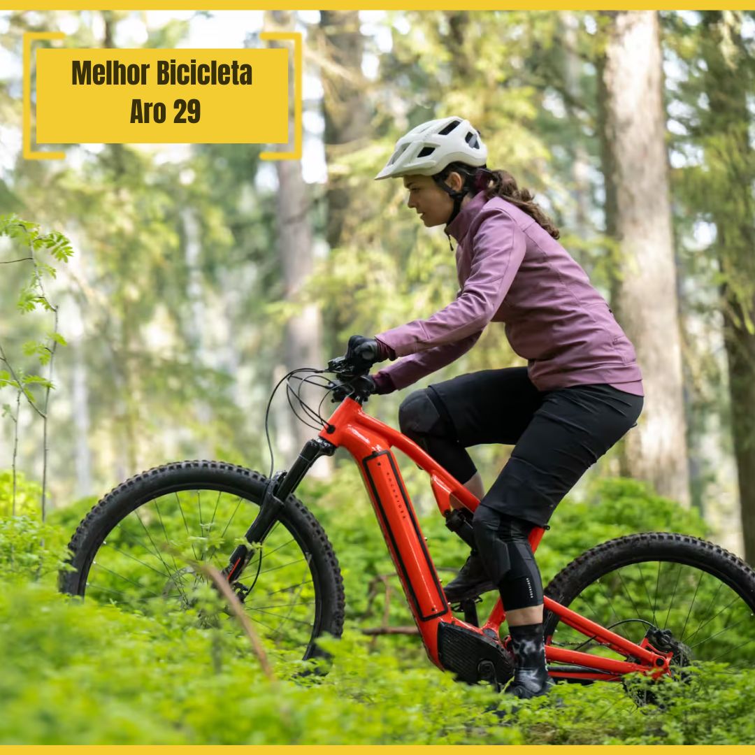 Best 29 Inch Bike