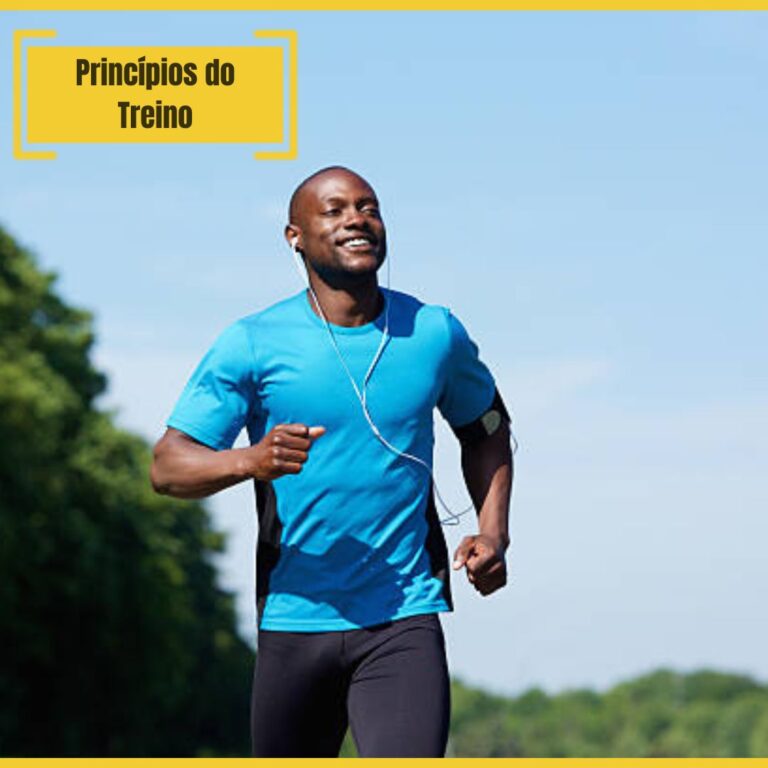 Princípios do Treino